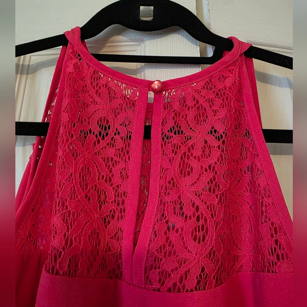 EUC IZ Byer Dress Size Large In Color "Poppy" - Picture 4 of 8